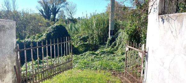 Terreno para Venda em Sé Nova, Santa Cruz, Almedina e São Bartolomeu