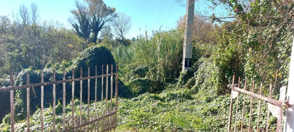 Terreno para Venda em Sé Nova, Santa Cruz, Almedina e São Bartolomeu