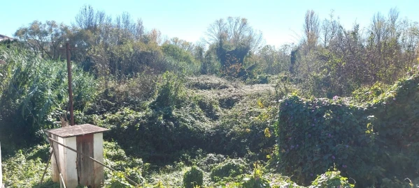 Terreno para Venda em Sé Nova, Santa Cruz, Almedina e São Bartolomeu