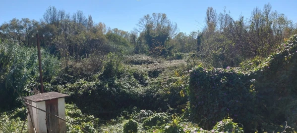 Terreno para Venda em Sé Nova, Santa Cruz, Almedina e São Bartolomeu