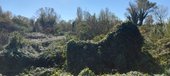 Terreno para Venda em Sé Nova, Santa Cruz, Almedina e São Bartolomeu