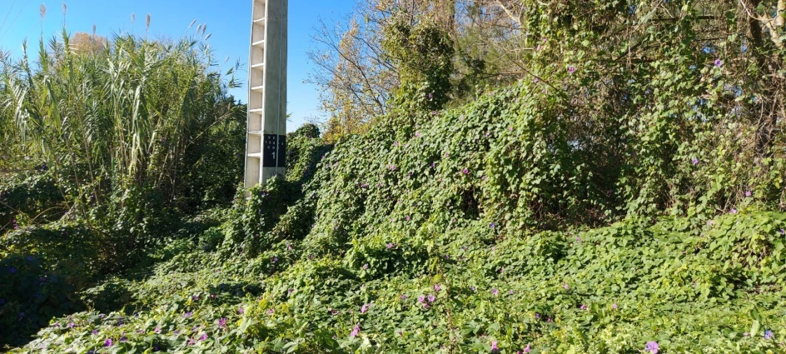 Terreno para Venda em Sé Nova, Santa Cruz, Almedina e São Bartolomeu Foto 18
