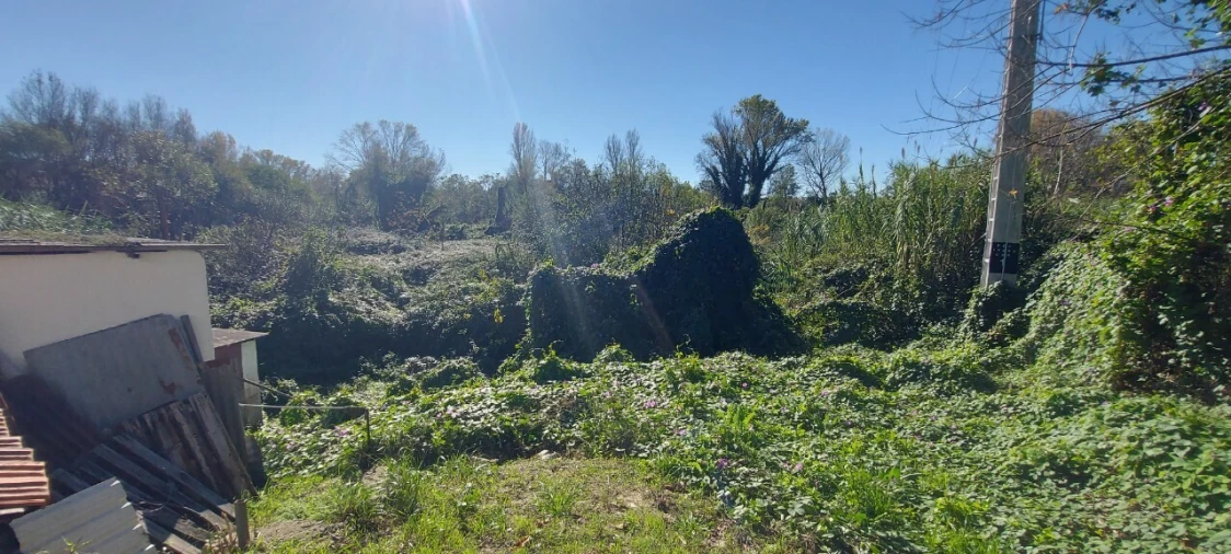 Terreno para Venda em Sé Nova, Santa Cruz, Almedina e São Bartolomeu Foto 28