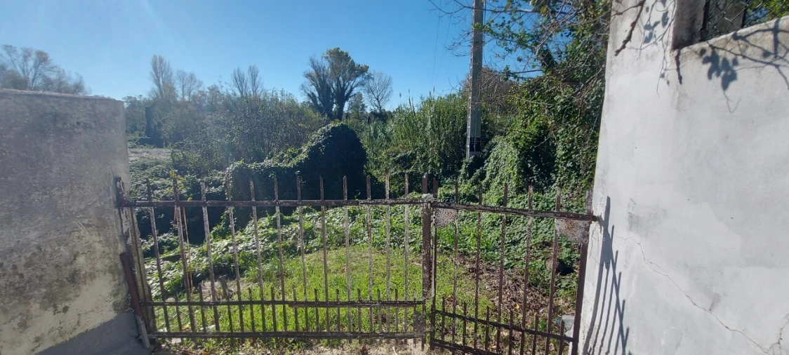 Terreno para Venda em Sé Nova, Santa Cruz, Almedina e São Bartolomeu Foto 7