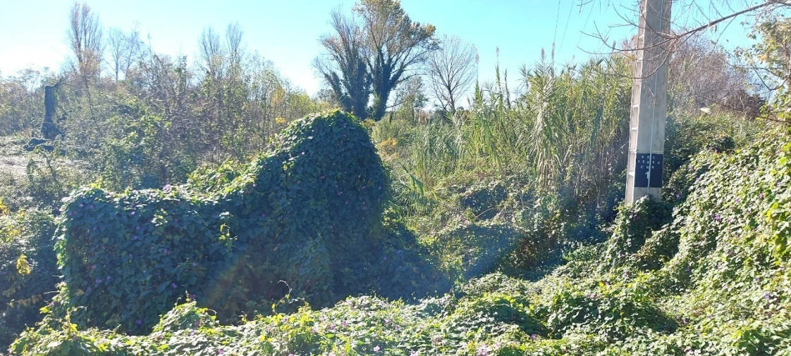 Terreno para Venda em Sé Nova, Santa Cruz, Almedina e São Bartolomeu Foto 8