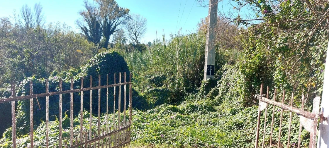 Terreno para Venda em Sé Nova, Santa Cruz, Almedina e São Bartolomeu Foto 9