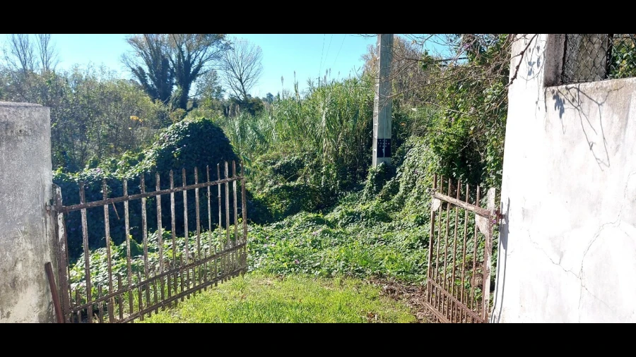 Terreno para Venda em Sé Nova, Santa Cruz, Almedina e São Bartolomeu