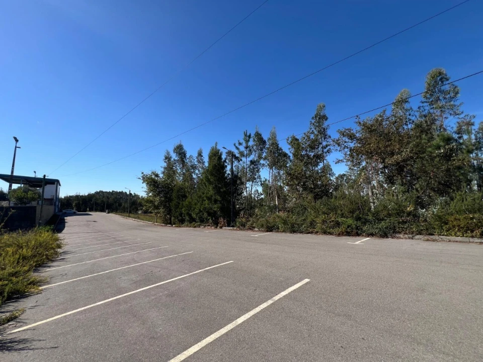 Terreno para Venda em Pinheiro da Bemposta, Travanca e Palmaz Foto 1