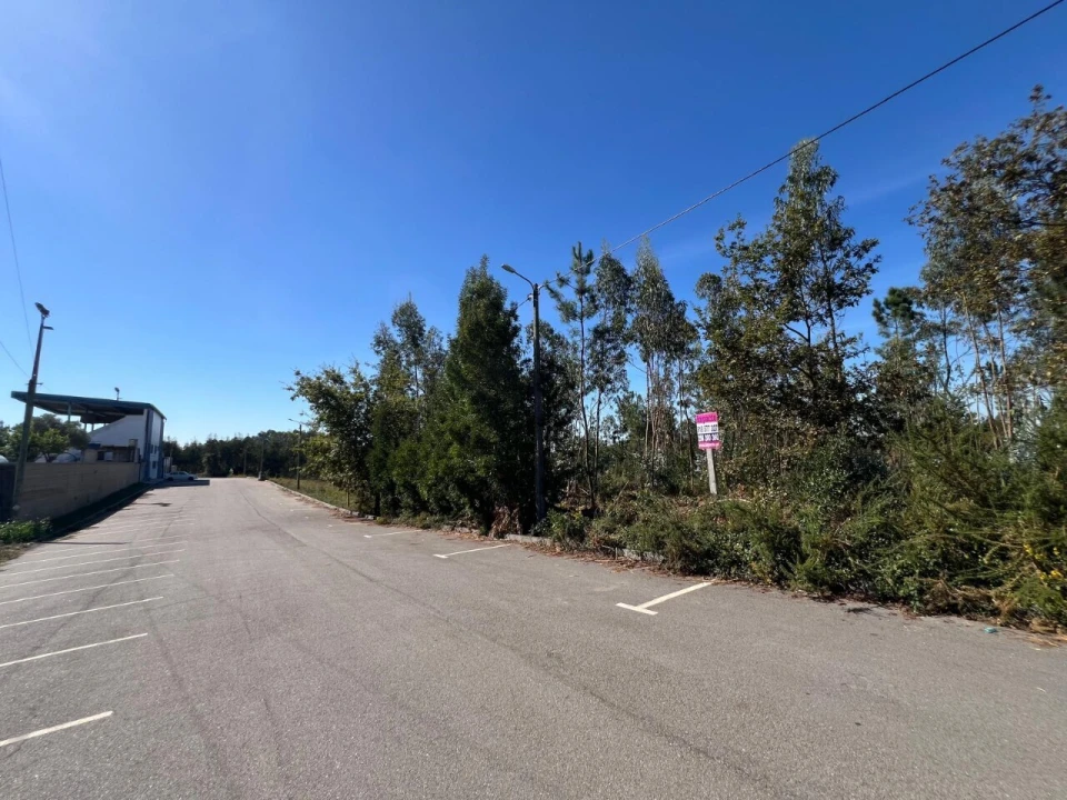 Terreno para Venda em Pinheiro da Bemposta, Travanca e Palmaz Foto 12