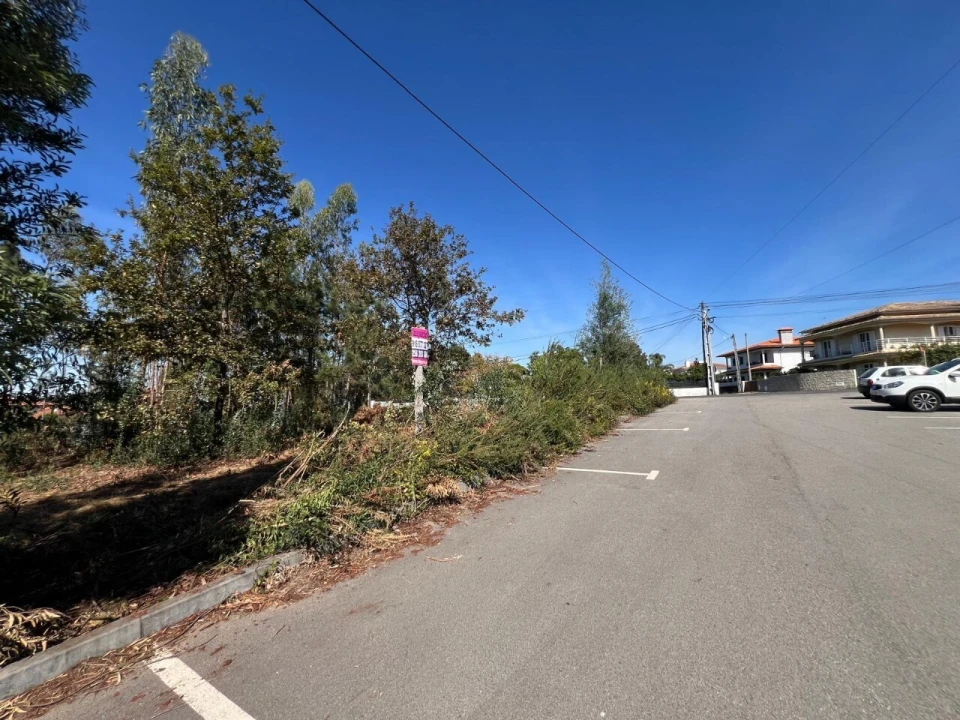 Terreno para Venda em Pinheiro da Bemposta, Travanca e Palmaz Foto 13