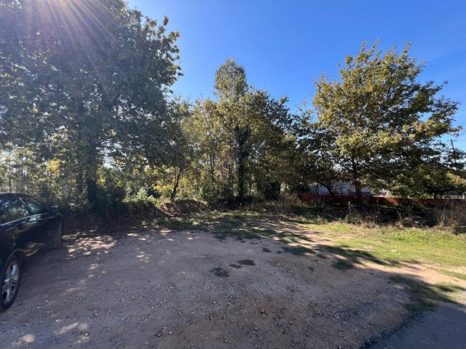 Terreno para Venda em Pinheiro da Bemposta, Travanca e Palmaz Foto 18