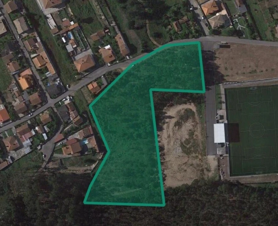 Terreno para Venda em Pinheiro da Bemposta, Travanca e Palmaz Foto 3