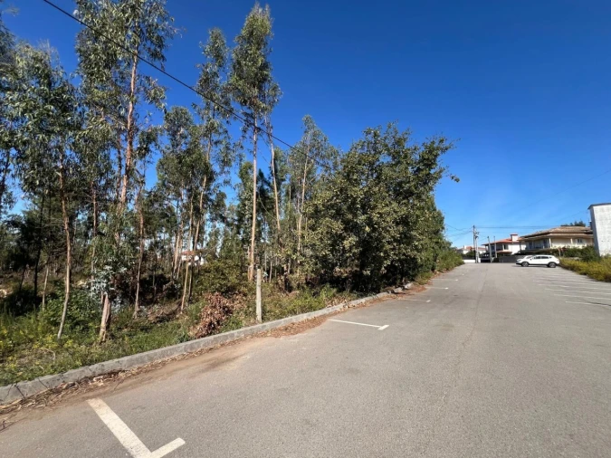 Terreno para Venda em Pinheiro da Bemposta, Travanca e Palmaz Foto 4