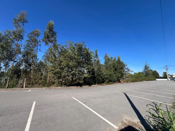 Terreno para Venda em Pinheiro da Bemposta, Travanca e Palmaz Foto 6