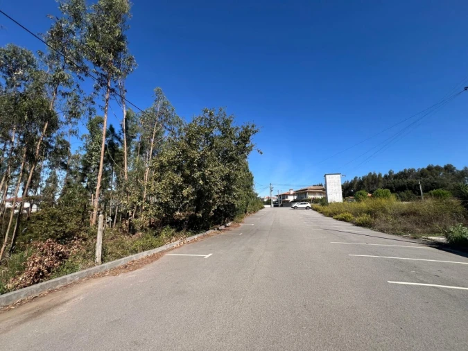 Terreno para Venda em Pinheiro da Bemposta, Travanca e Palmaz Foto 7