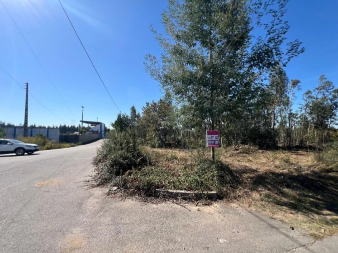 Terreno para Venda em Pinheiro da Bemposta, Travanca e Palmaz Foto 2