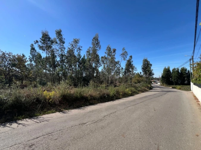Terreno para Venda em Pinheiro da Bemposta, Travanca e Palmaz Foto 8