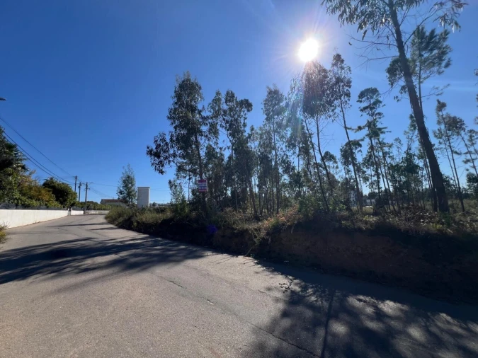 Terreno para Venda em Pinheiro da Bemposta, Travanca e Palmaz Foto 11