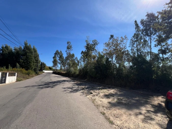 Terreno para Venda em Pinheiro da Bemposta, Travanca e Palmaz Foto 14