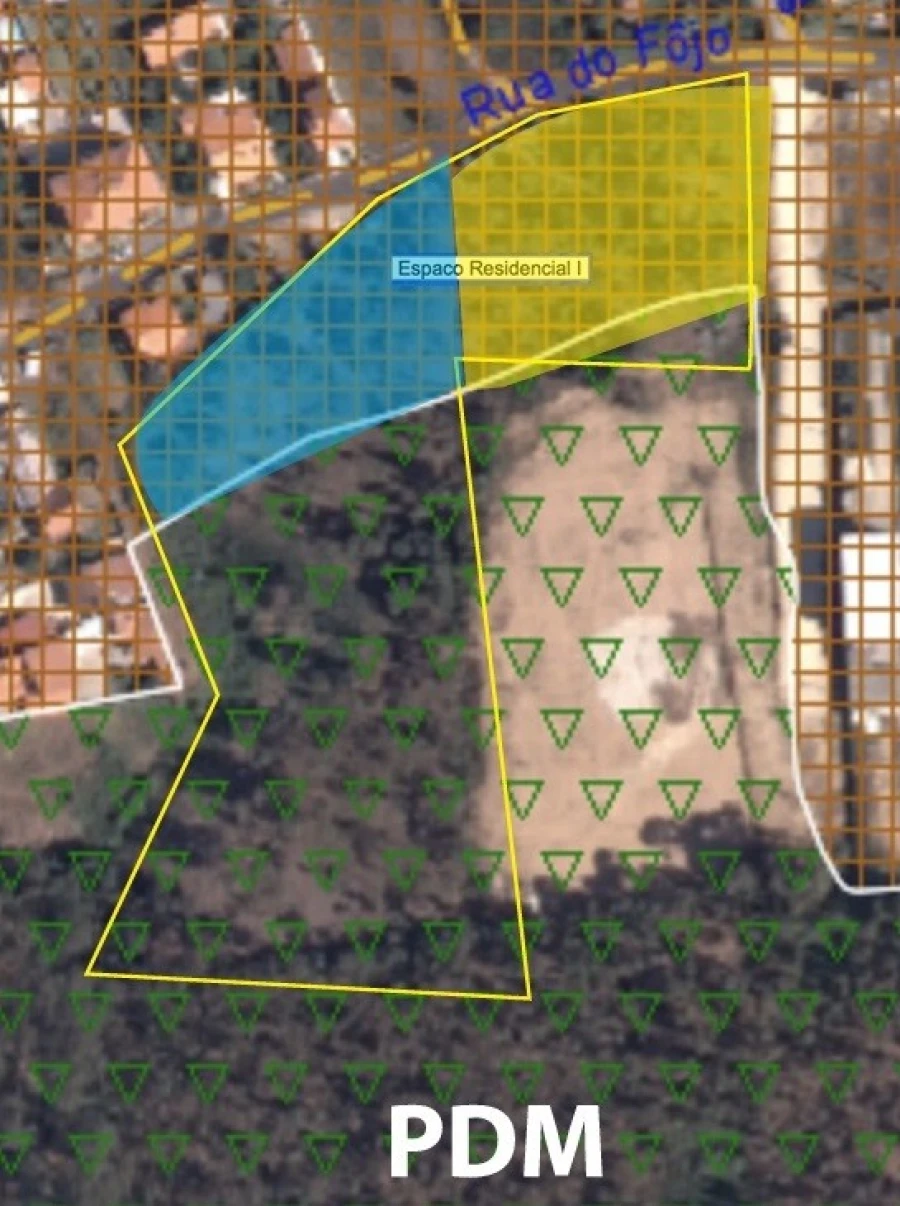 Terreno para Venda em Pinheiro da Bemposta, Travanca e Palmaz Foto 5