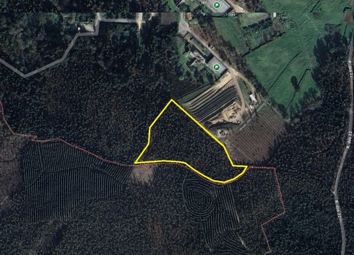Terreno para Venda em Pinheiro da Bemposta, Travanca e Palmaz Foto 2