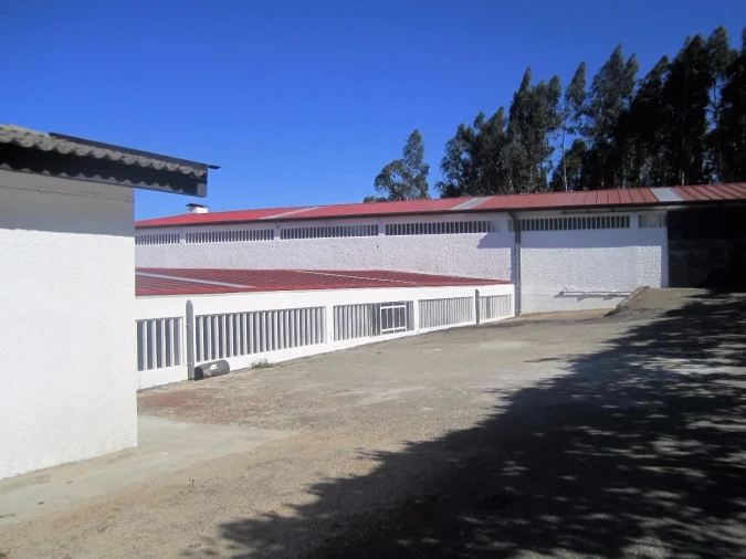 Armazém para Arrendamento em Vila de Cucujães Foto 16