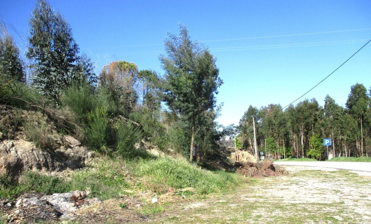 Terreno para Venda em Oliveira do Conde Foto 8