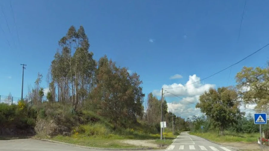 Terreno para Venda em Oliveira do Conde