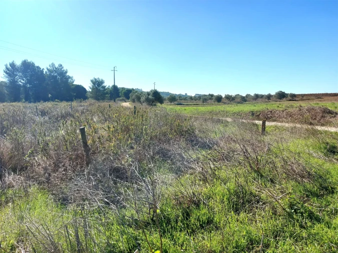 Terreno para Venda em Abrigada e Cabanas de Torres Foto 19