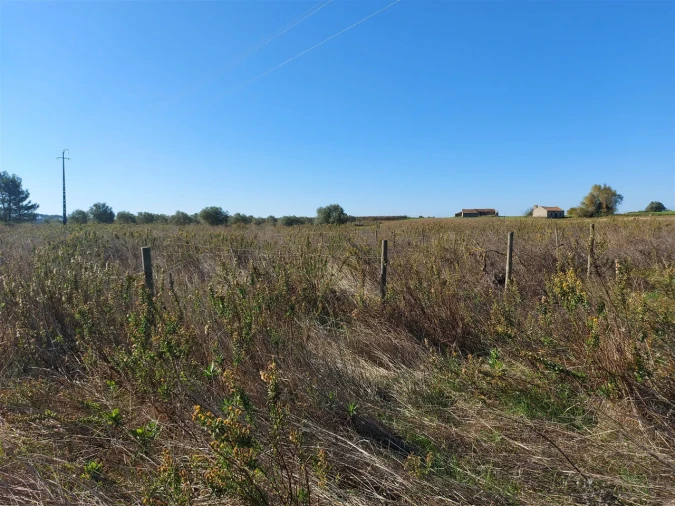 Terreno para Venda em Abrigada e Cabanas de Torres Foto 25