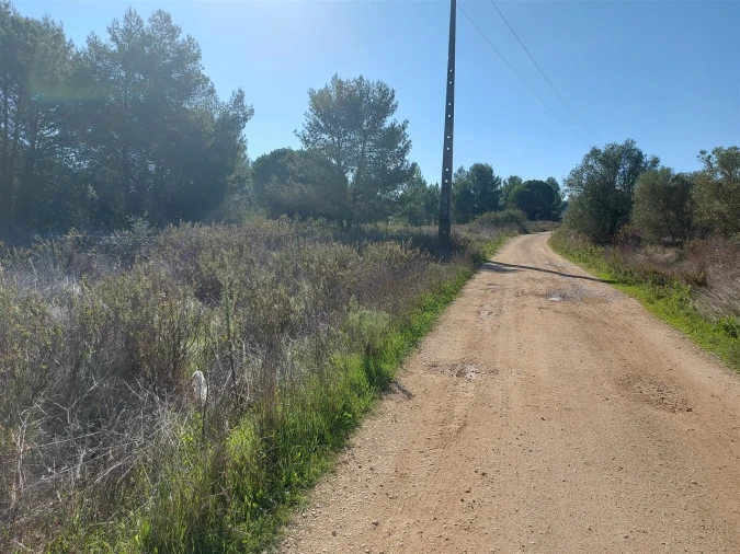 Terreno para Venda em Abrigada e Cabanas de Torres Foto 8