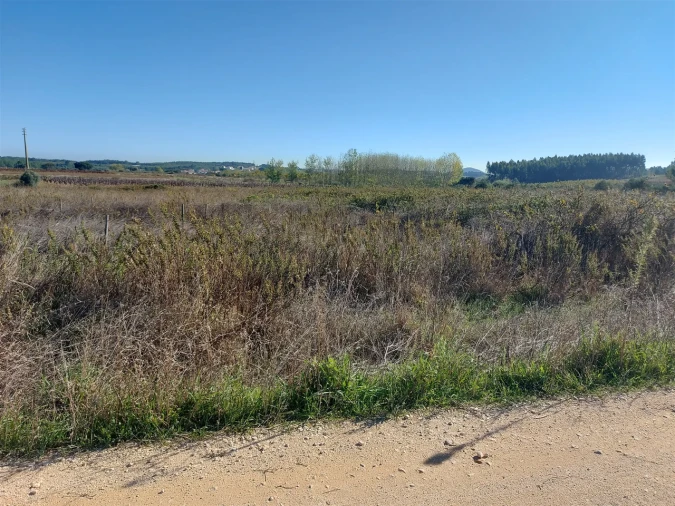 Terreno para Venda em Abrigada e Cabanas de Torres Foto 10
