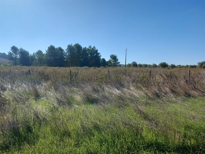 Terreno para Venda em Abrigada e Cabanas de Torres Foto 23