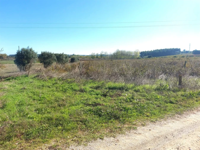 Terreno para Venda em Abrigada e Cabanas de Torres Foto 13