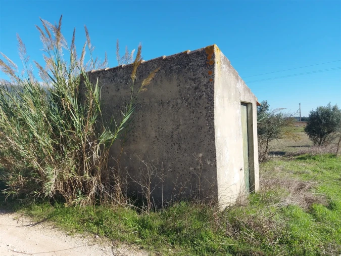 Terreno para Venda em Abrigada e Cabanas de Torres Foto 15