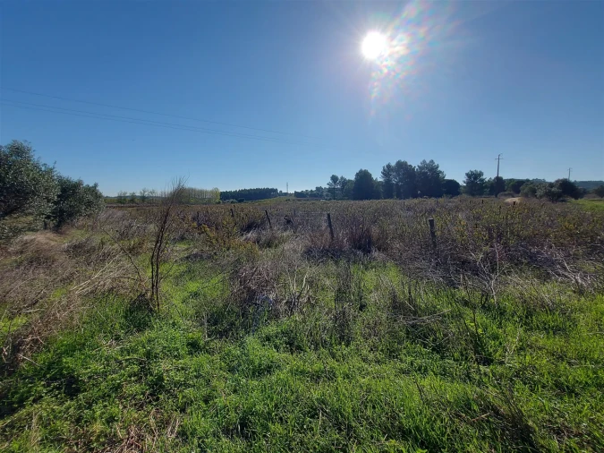 Terreno para Venda em Abrigada e Cabanas de Torres Foto 22