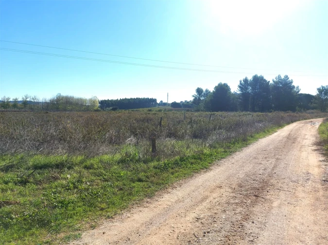 Terreno para Venda em Abrigada e Cabanas de Torres Foto 12