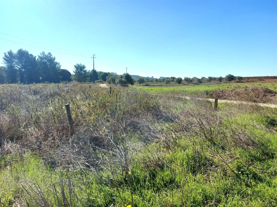 Terreno para Venda em Abrigada e Cabanas de Torres Foto 19