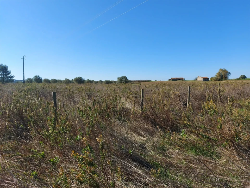 Terreno para Venda em Abrigada e Cabanas de Torres Foto 25