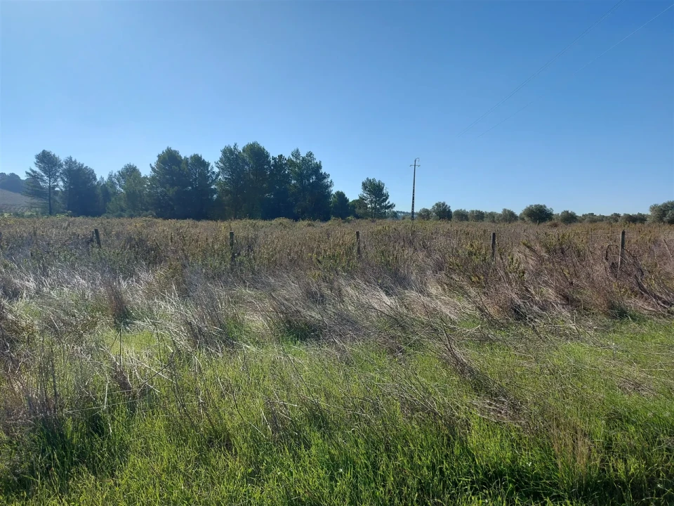 Terreno para Venda em Abrigada e Cabanas de Torres Foto 23