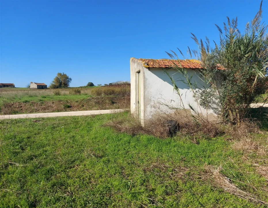 Terreno para Venda em Abrigada e Cabanas de Torres Foto 20