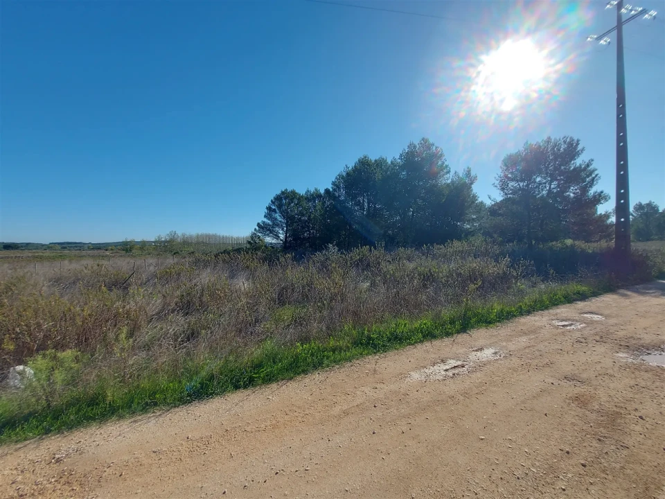 Terreno para Venda em Abrigada e Cabanas de Torres Foto 6