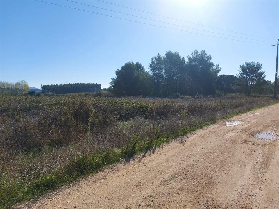 Terreno para Venda em Abrigada e Cabanas de Torres Foto 11