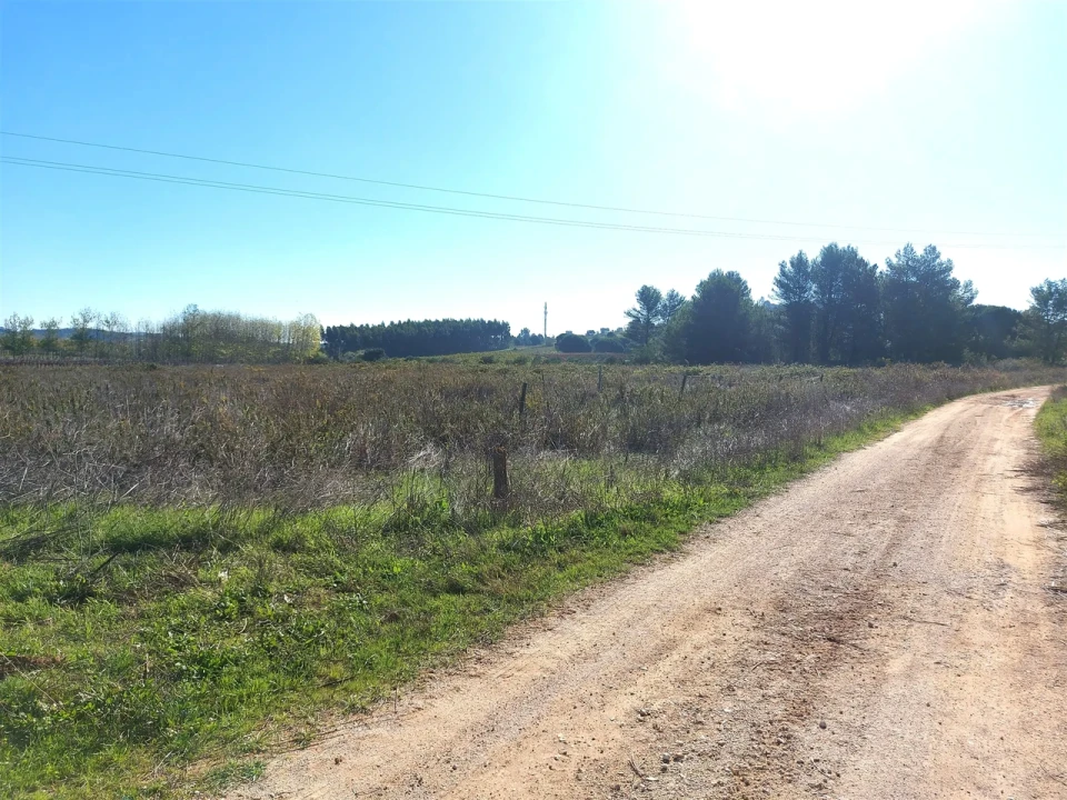 Terreno para Venda em Abrigada e Cabanas de Torres Foto 12
