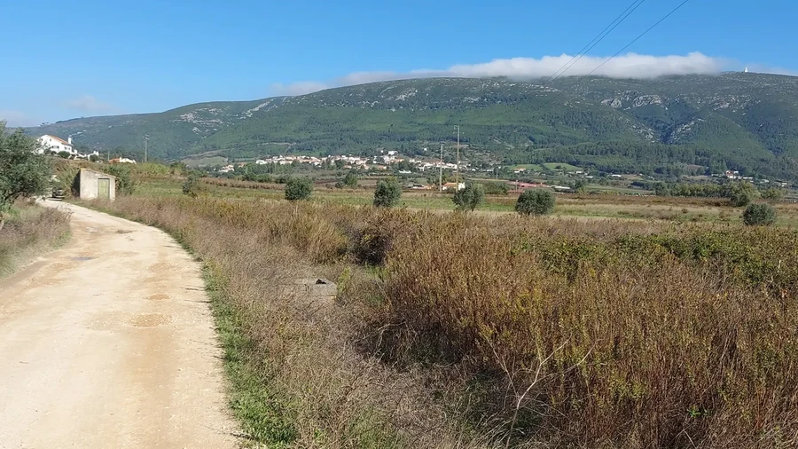 Terreno para Venda em Abrigada e Cabanas de Torres