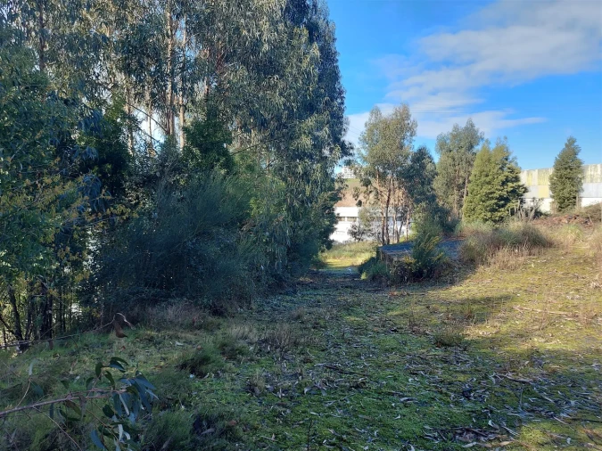 Terreno para Venda em Fânzeres e São Pedro da Cova Foto 13