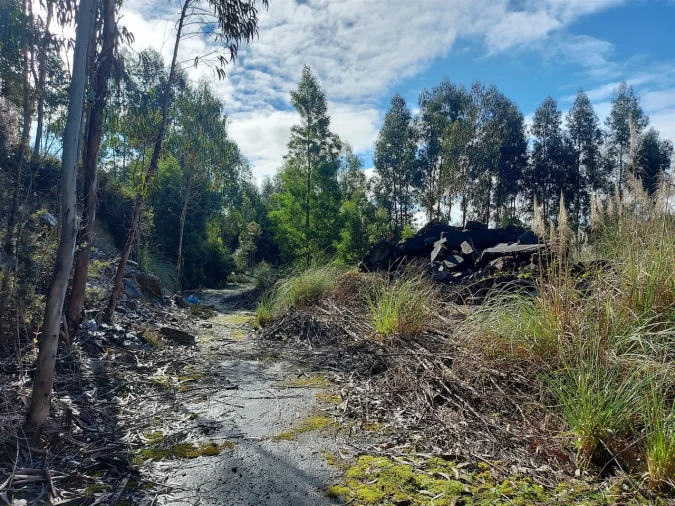 Terreno para Venda em Fânzeres e São Pedro da Cova Foto 19