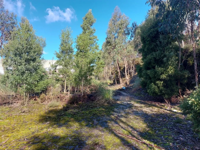 Terreno para Venda em Fânzeres e São Pedro da Cova Foto 43