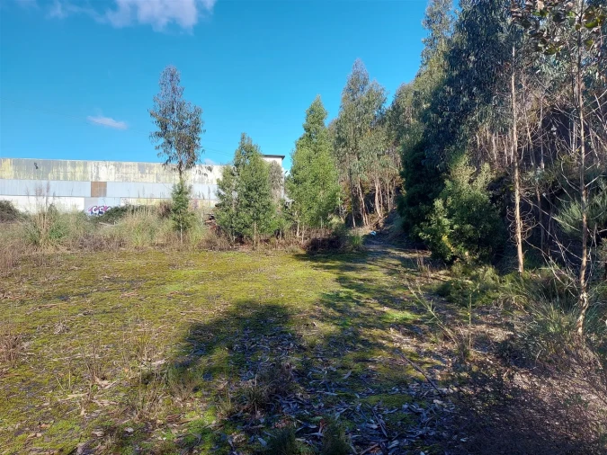Terreno para Venda em Fânzeres e São Pedro da Cova Foto 48