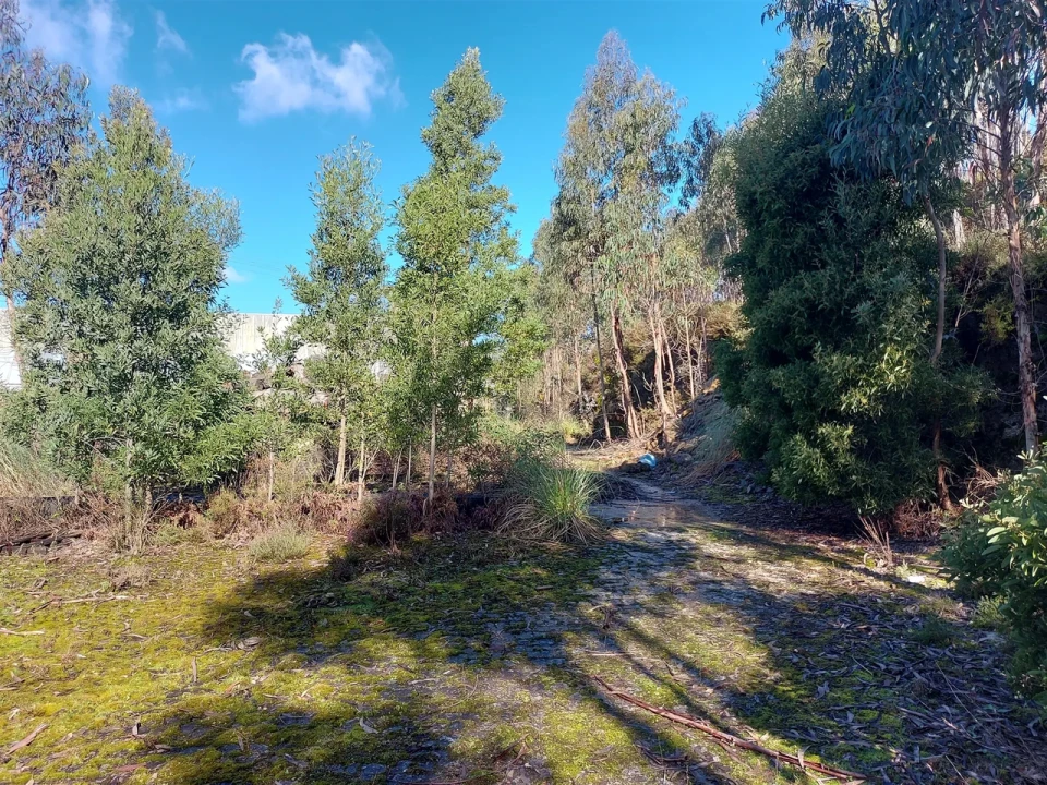 Terreno para Venda em Fânzeres e São Pedro da Cova Foto 43